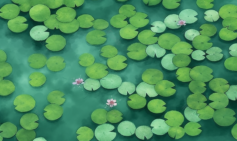夏天唯美水面上的睡莲荷花池插画背景,插画/手绘图,插画/手绘图库,插画/手绘图下载,插画/手绘